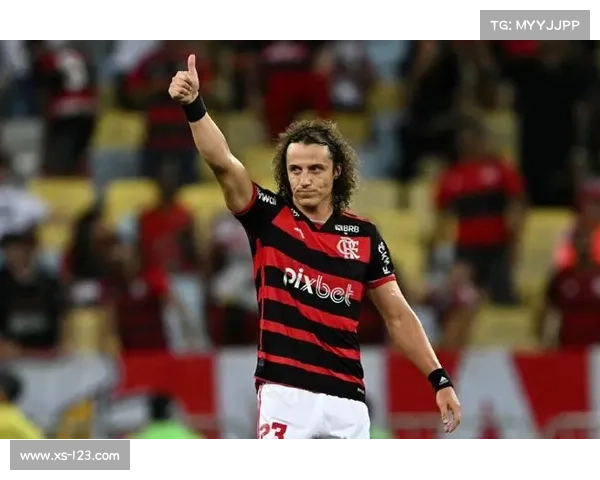 大卫路易斯未能入选国家队的原因分析与背后考量