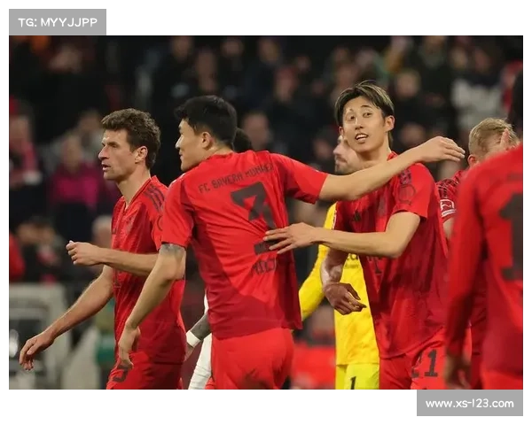 揭秘拜仁体育场真正名字背后的故事与隐藏命名真相