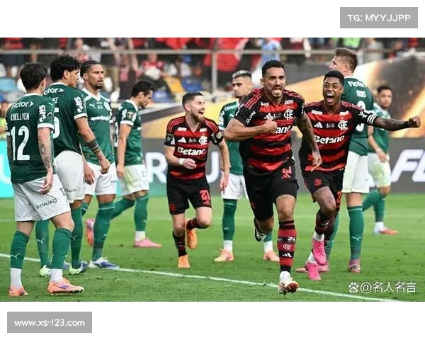 弗拉门戈成功卫冕巴西联赛2023赛季冠军再创辉煌 弗拉门戈成功卫冕巴西联赛2023赛季冠军再创辉煌
